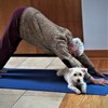 Yoga Dog (2)